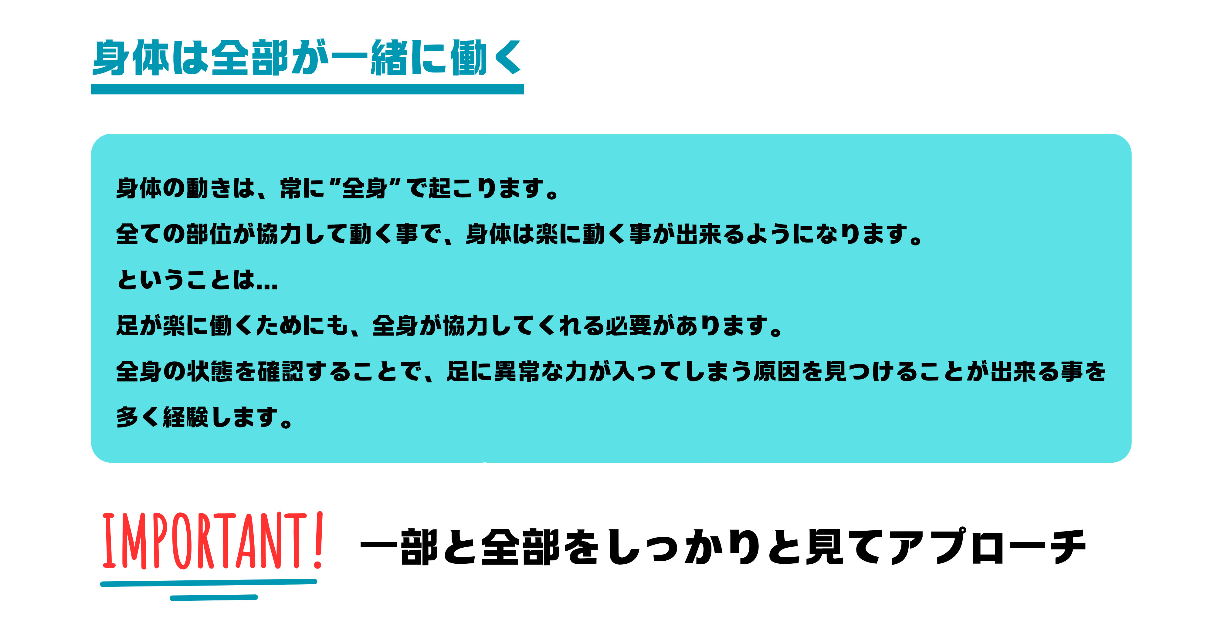 身体の動きは一部で起こるのではなく、全身で起こります。身体の動きは、常に“全身”で起こります。 全ての部位が協力して動く事で、身体は楽に動く事が出来るようになります。 ということは... 足が楽に働くためにも、全身が協力してくれる必要があります。 全身の状態を確認することで、足に異常な力が入ってしまう原因を見つけることが出来る事を多く経験します。部分的にみる視点と、全身的にみる視点が重要です。